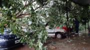Tormenta causó estragos en Bermejo, hay barrios sin electricidad (Videos)