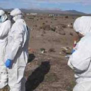 Camino A Ujina: Encuentran Cuerpo De Hombre Que Podría Haber Sido Asesinado