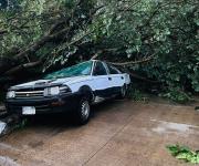 Policía reporta que lluvias torrenciales y vientos huracanados afectaron gravemente a Bermejo