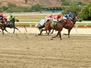 El Mega Batacazo de la reunión 46: Atentos al ejemplar con ajuste veloz y contenido en La Rinconada