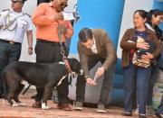 El Presidente Paz revela que tiene 14 perros y una gata al inaugurar operativo masivo de vacunación contra la rabia