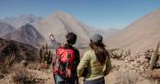 Vicuña lanza “Elqui Guiado”: imperdible panorama gratuito para vivir el Valle del Elqui