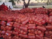 Un productor chaqueño sigue haciendo historia: tras abrir el mercado uruguayo para las sandías, ahora exportó zapallo anco