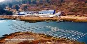 Fiscalía detecta obra con solo 37% de avance en planta piscícola del lago Titicaca y alista citación para Franklin Flores