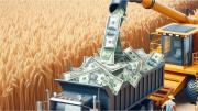 Cae el precio del trigo, pero no se resentirá el ingreso de dólares por los altos rendimientos