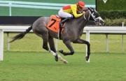 ¡Enciende la pista! Jinete Edgar Pérez obtiene brillante doblete en el Championship Meet de Gulfstream Park