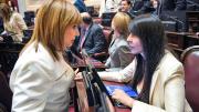 Juraron 23 senadores, pero Lorena Villaverde quedó relegada e incómoda al oficialismo
