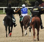 ¡Urgente, urgente! Retirada la línea nacional de La Rinconada