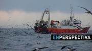 “Si no cambian las reglas, la pesca en Uruguay desaparecerá”, alerta empresario del sector