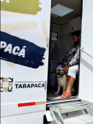 Clínica Veterinaria Móvil Llega A Caleta San Marcos Y Acerca Atención Gratuita A Decenas De Mascotas