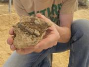 Un adolescente descubrió restos de un dinosaurio de 150 millones de años durante un proyecto escolar: Estaba muy emocionado