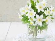 Qué hay detrás de un ramo de jazmines