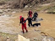 Derrumbe en Samaipata: canes entrenados buscan personas atrapadas o afectadas