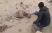 ¡Impactante! Hombre fue arrastrado por huaico en Camaná y salvó de morir gracias a vecinos (VIDEO)