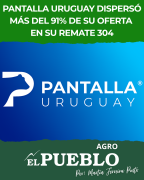Pantalla Uruguay dispersó más del 91% de su oferta en su remate 304 ‣ Martin Ferreira Pinto