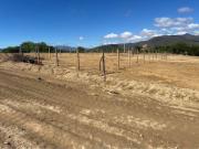 Las urbanizaciones amenazan los viñedos en el valle central