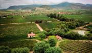 Bolivia lanza una plataforma digital para poner su vino y su turismo en el mapa mundial