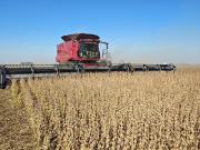 La recaudación cayó más de 8% en noviembre, sacando el efecto de la inflación