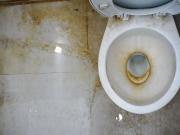 El truco casero que elimina el sarro en grifos e inodoros sin esfuerzo