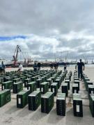 Nuevo operativo de incautación en apoyo al GRIA