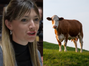Quién es Lucía Klug, la legisladora que propuso cobrar impuestos a los gases de las vacas