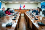 Tras comité binacional, Chile y Perú acordaron en avanzar en la implementación de patrullajes conjuntos, verificación migratoria y una próxima reunión en Tacna