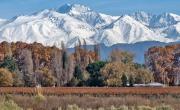 Cuánto cuesta irse de vacaciones a Mendoza en el verano 2026: precios de paquetes, viajes y alojamientos