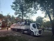 Cae en Salta un camión con casi 5 toneladas de hoja de coca y el conductor es boliviano