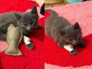 De un error bancario a un acto de amor: la historia del joven que ayudó a “Pulguita”