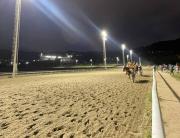 La transformación hípica: Así se presenta el majestuoso óvalo de Coche en la actualidad