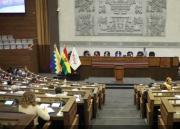 La ALP inicia proceso para elegir a los vocales del TSE