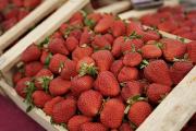 Fiesta de la Frutilla en La Plata: cuándo es, qué habrá y por qué es un producto clave del cordón verde