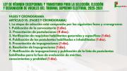Conozca el “ajustado” cronograma para postular a vocal del Tribunal Supremo Electoral