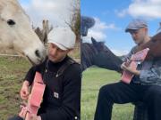 El músico que conquista a los animales con su guitarra rosa: la historia de Plumes