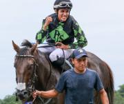 Samuel Marín es elegido el Jockey de la primera semana en Tampa Bay Downs