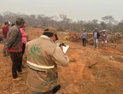 Digitalización: ABT360 busca transformar trámites y controles forestales en Bolivia