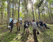 Región de Aysén: BioAysén inicia trabajo en terreno para certificar servicios ecosistémicos