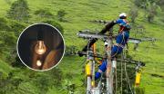 Cortes de luz en Bogotá y Sabana este 4 de diciembre: zonas y horarios