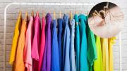 El color de ropa que atrae a los mosquitos y debes evitar usar en verano