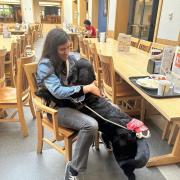 “No puedo entrar a Uruguay con mi perro guía”: el descargo de Milagros Costabel