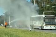 Un ómnibus se prendió fuego sobre la ruta 8 cuando circulaba hacia Pando