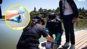 Contaminación del lago Vichuquén: Detectan floración de cianobacterias y llaman a no ingresar a sus aguas