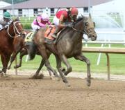 El venezolano José Francisco DAngelo asume el entrenamiento de Brotha Keny, vendido por cifra récord en subasta