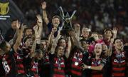 Flamengo aseguró el Brasileirao y se coronó como el mejor equipo de la temporada