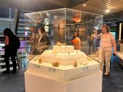 Innovadora Sala de Paleontología en el museo de Roca para maravillar a los más chicos