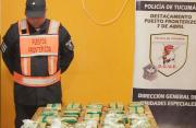 Incautan 18 kilos de hojas de coca en puestos fronterizos tucumanos