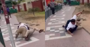 “Estaí mordiendo cul ”: Choferes de buses protagonizan violenta pelea en La Serena y video se viraliza