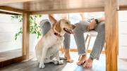 Qué significa que tu perro se eche debajo de la mesa mesa mientras comes y cuándo es algo negativo