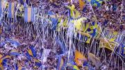 Así fue el impresionante recibimiento de la hinchada de Boca en el duelo ante Racing