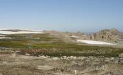 Descubren áreas libres de hielo y vegetación en Antártida